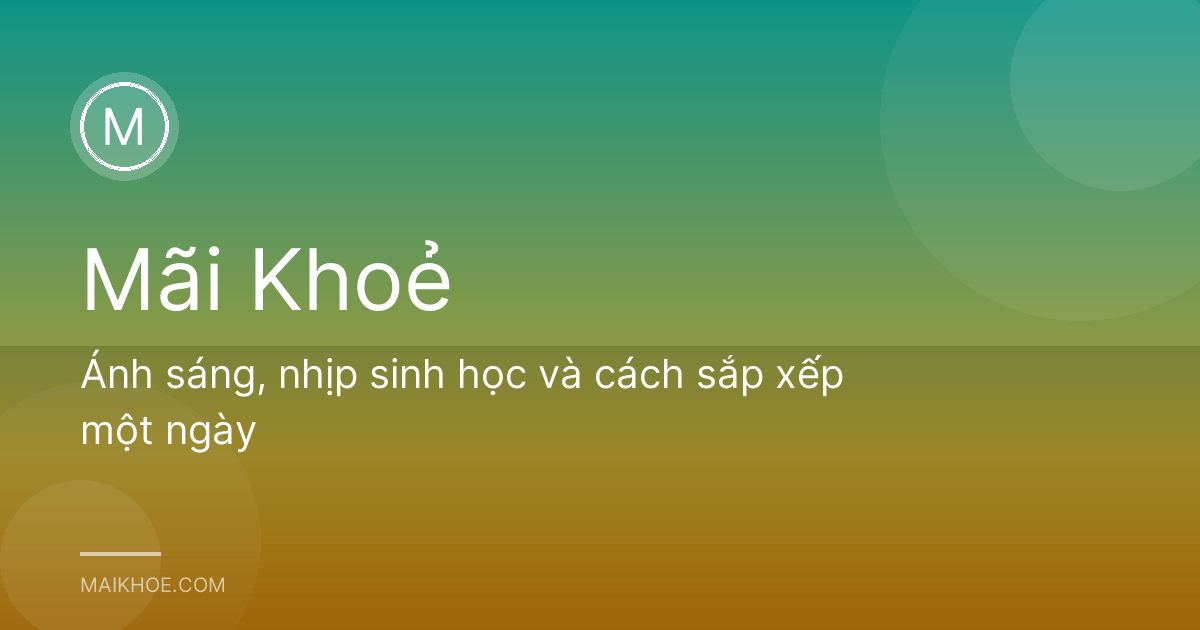 Ánh sáng, nhịp sinh học và cách sắp xếp một ngày