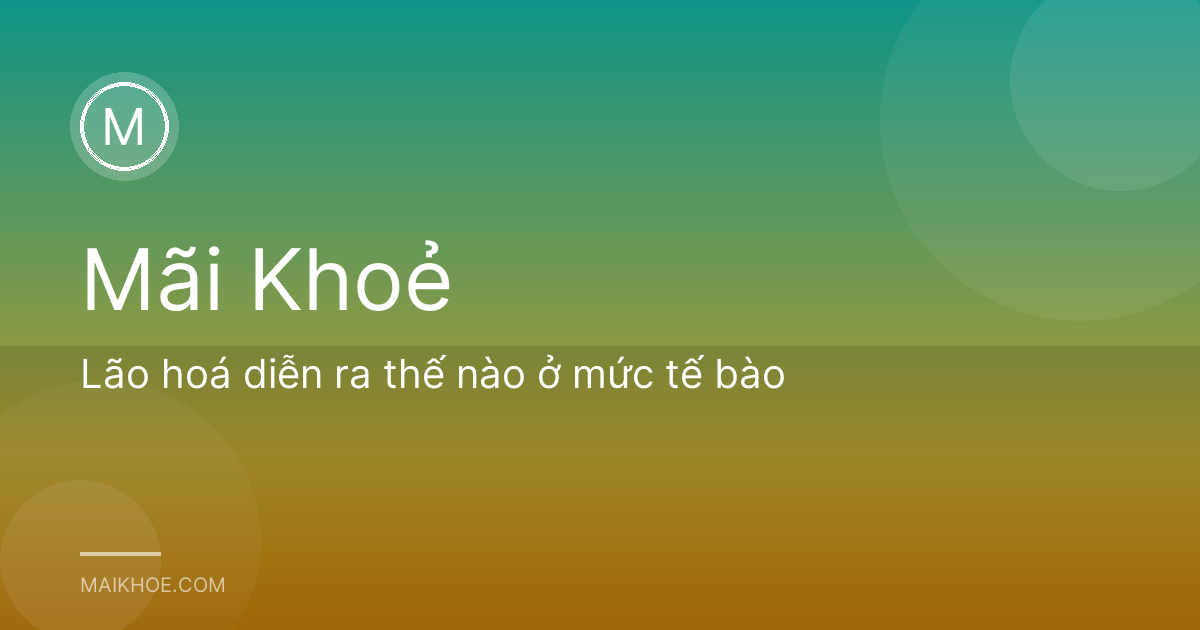 Lão hoá diễn ra thế nào ở mức tế bào